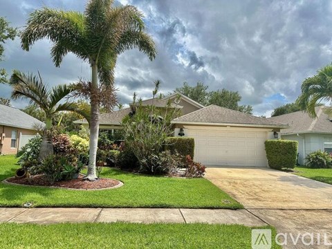 A palm tree stands in a front yard with a house in the background.