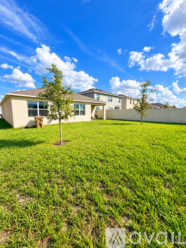 A small tree stands in a grassy field in front of a house.