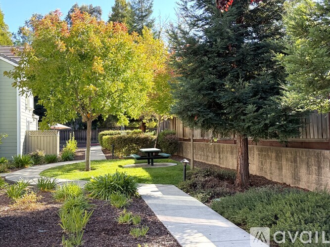 A tree with orange leaves is in the middle of a garden.