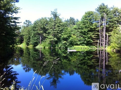 A serene lake surrounded by lush green trees.