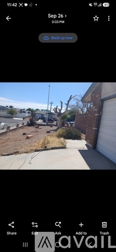401 Cactus Bloom Ln 1 Apartment for Rent - Photo gallery 5