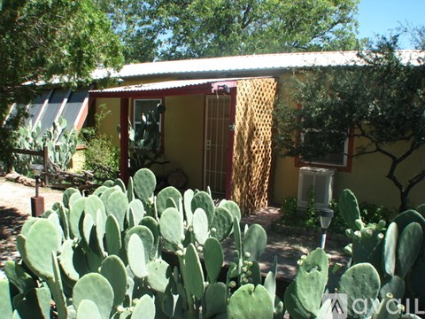 223 New Mexico 80 1 Apartment for Rent