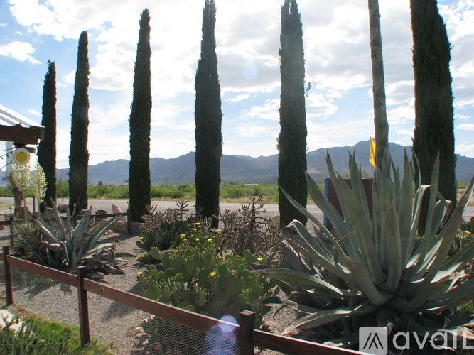 223 New Mexico 80 1 Single Family Home for Rent - Photo gallery 4