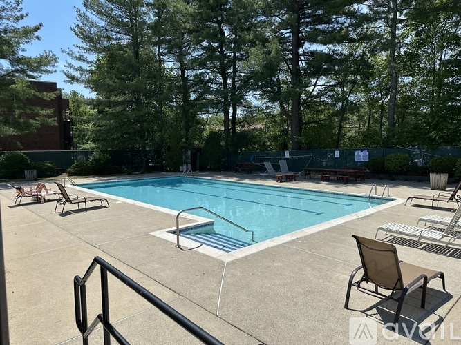 A pool surrounded by trees and chairs.