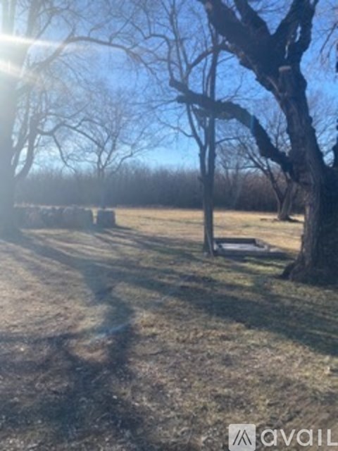 A field with trees and a fence in the distance.