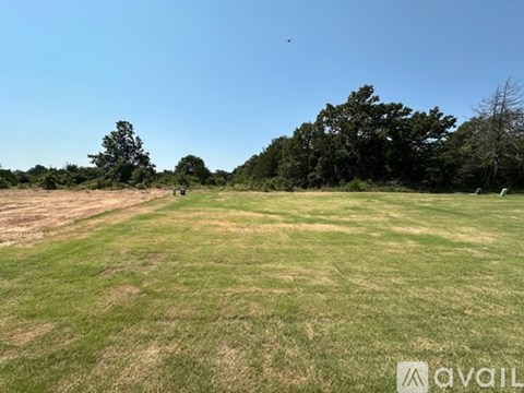 A grassy field with trees in the distance and a clear blue sky.