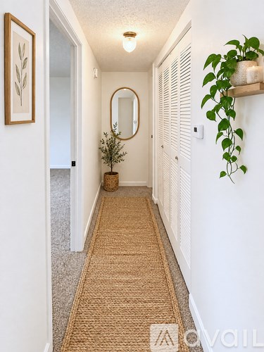 A hallway with a rug, a mirror, and a potted plant.