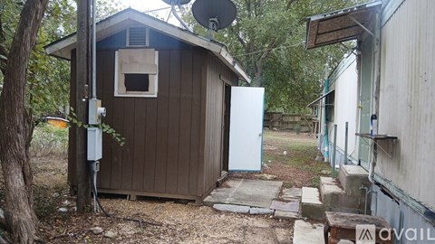 A shed with a white door is surrounded by trees and a utility pole.