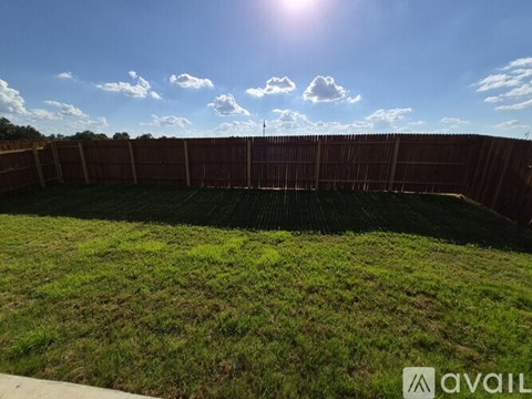 A backyard with a wooden fence and green grass.