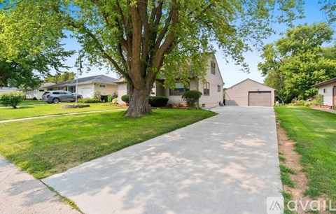 A residential area with houses and a tree-lined sidewalk.