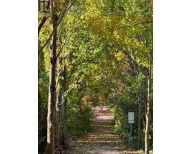 A pathway is lined with trees and a sign is on the right.
