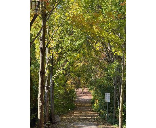 A pathway is lined with trees and a sign is on the right.