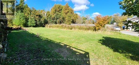A yard with a shadow of a tree on the ground.