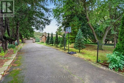 A residential street with a basketball hoop and houses on both sides.