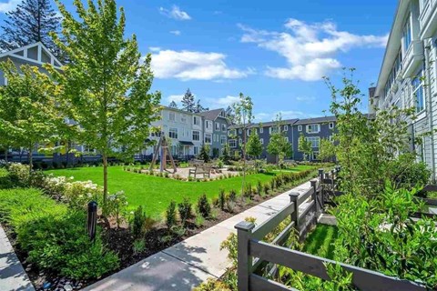 A sunny day in a well-maintained garden with a wooden fence.