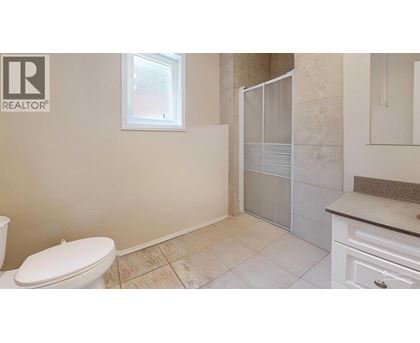A bathroom with a toilet, sink, and shower.