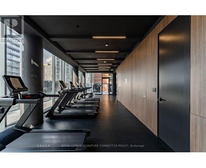 A gym with treadmills and a view of the city.