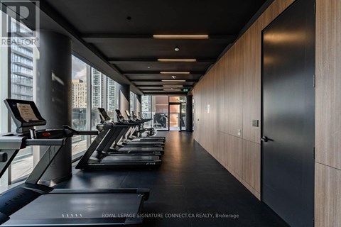 A gym with treadmills and a view of the city.
