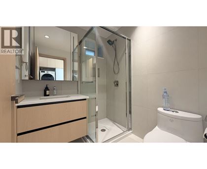 A modern bathroom with a walk-in shower and a toilet.