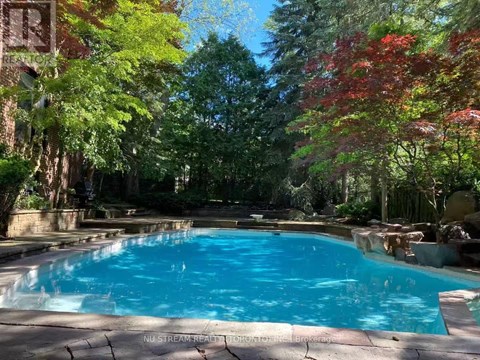 A pool surrounded by trees in a backyard.