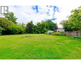 A lush green yard with a house and trees in the background.