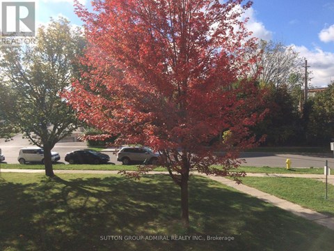 A tree with red leaves is in the foreground of a Sutton Group-Admiral Realty Inc. advertisement.