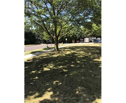 A tree in a grassy area with a road and buildings in the background.