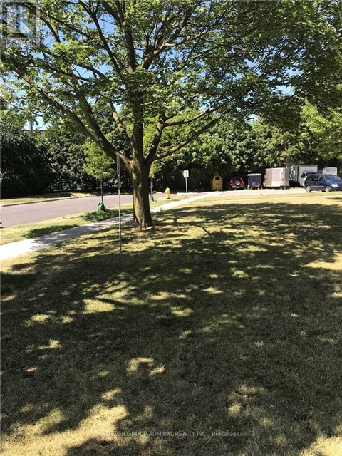 A tree in a grassy area with a road and buildings in the background.
