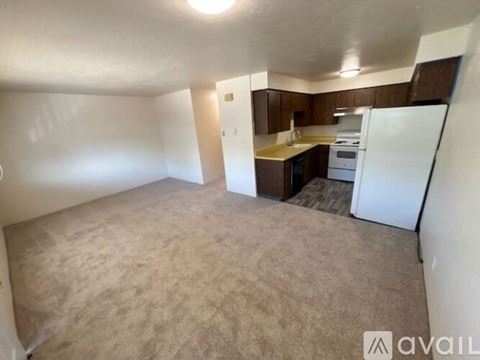 A small, empty room with a carpeted floor and a kitchenette in the background.