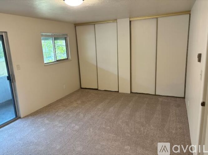 A room with a carpeted floor, a window, and a sliding door.