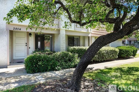A tree in front of a house with the number 2804 on the front.
