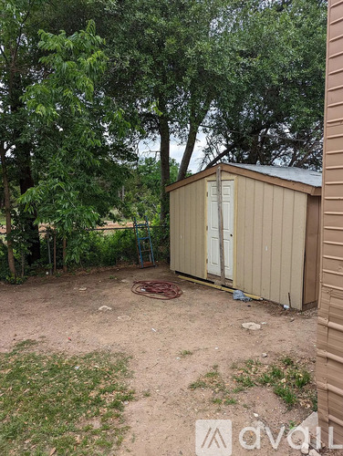 A shed sits in a backyard with a dirt ground and trees in the background.