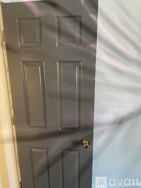 A white door with a brass handle and a lock.
