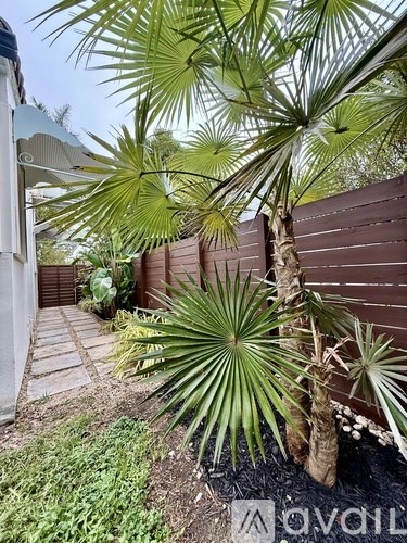 A palm tree in a garden with a wooden fence in the background.