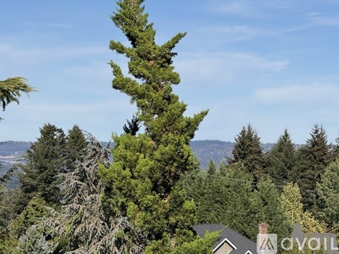 8064 Southwest 187Th Avenue 2 Beds Apartment for Rent