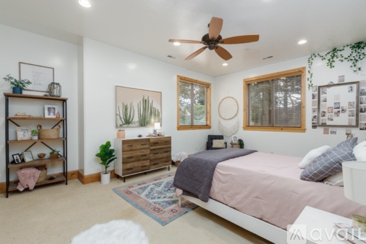 A bedroom with a bed, dresser, and a ceiling fan.