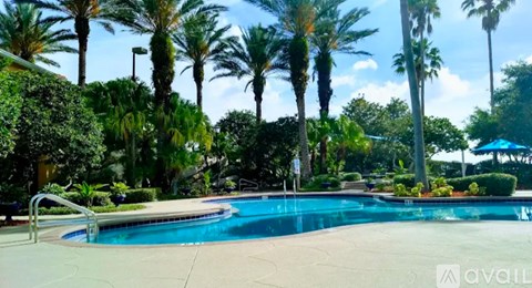 A pool surrounded by palm trees and bushes.