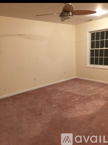 63 Olive St 4 Beds Single Family Home for Rent - Photo gallery 3