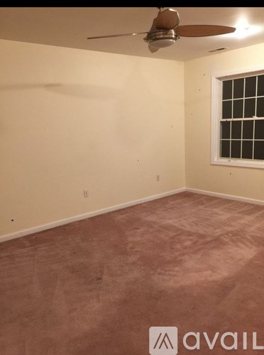 63 Olive St 4 Beds Apartment for Rent