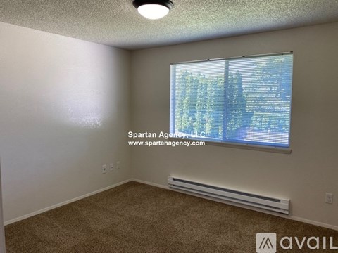 A room with a window showing trees outside and a carpet on the floor.
