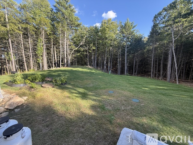 A backyard with a lawn, trees, and a grill.
