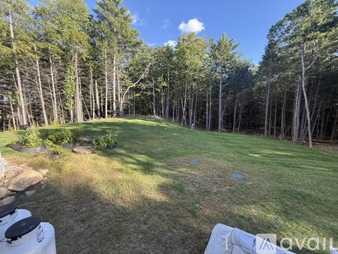 A backyard with a lawn, trees, and a grill.