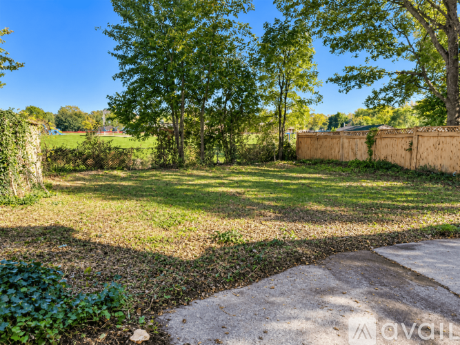 A sunny day in a garden with a stone wall and trees.