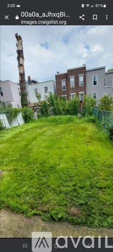 A grassy area with a fallen tree in the background.