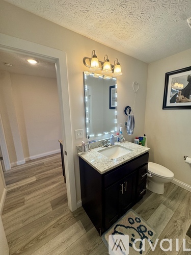 A bathroom with a sink, mirror, and toilet.