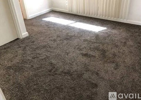 A room with a carpeted floor and a window letting in sunlight.