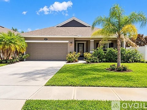 A house with a driveway and a tree in front.