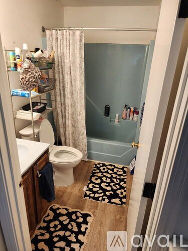 24 Fawn Road 6 Beds Apartment for Rent