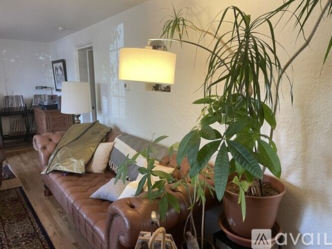 A living room with a brown leather couch and a potted plant.