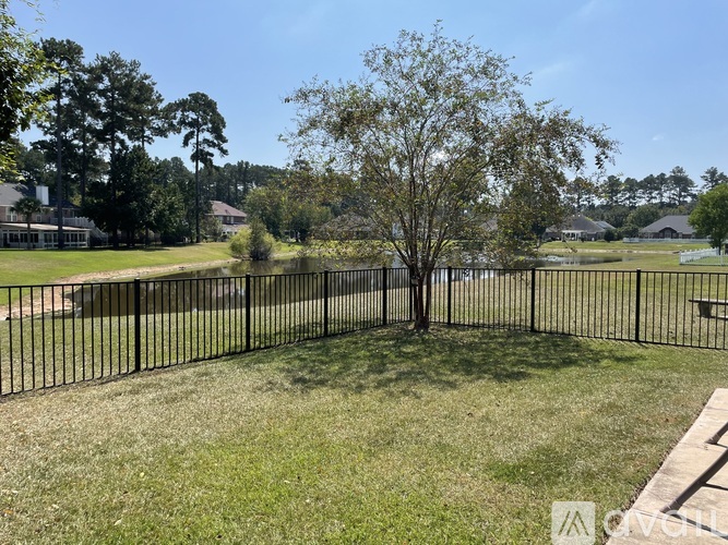 A tree stands alone in a grassy field behind a black fence.